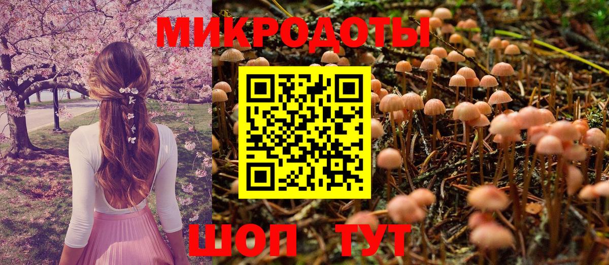 Ижевск  Галлюциногенные грибы GOLDEN TEACHER  купить   Вход с VPN  Галлюциногенные грибы мицелий 