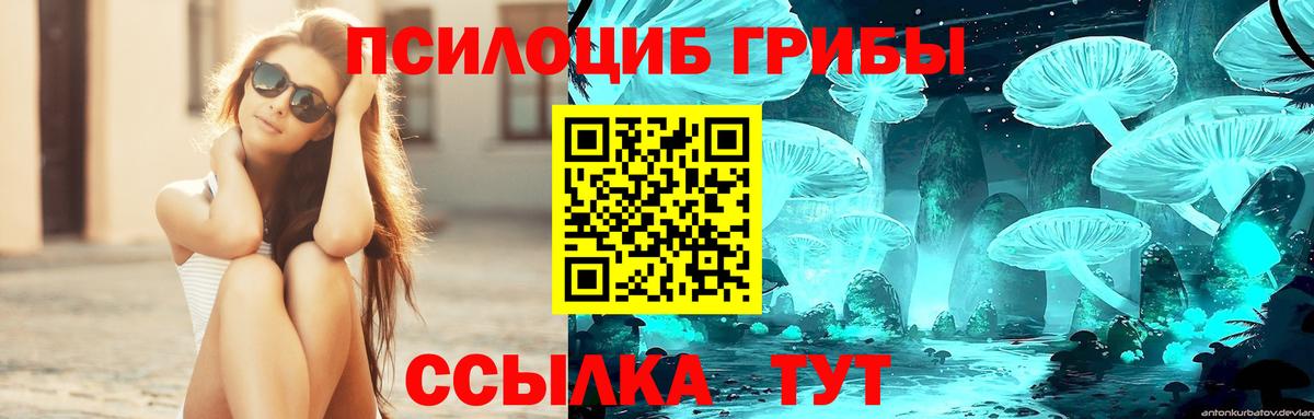 Псилоцибиновые грибы GOLDEN TEACHER Ижевск